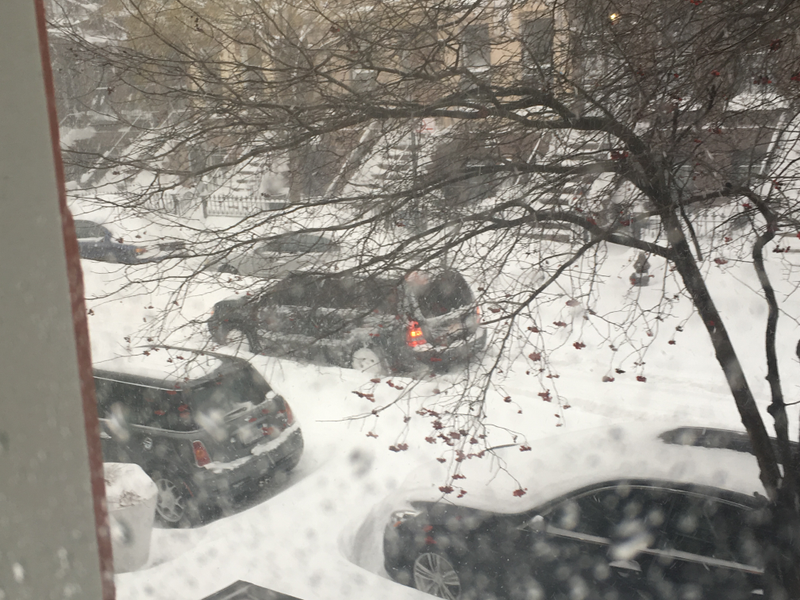 Illustration for article titled A Blizzard Grows in Brooklyn